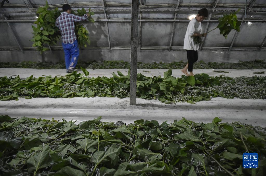 乐虎游戏官网